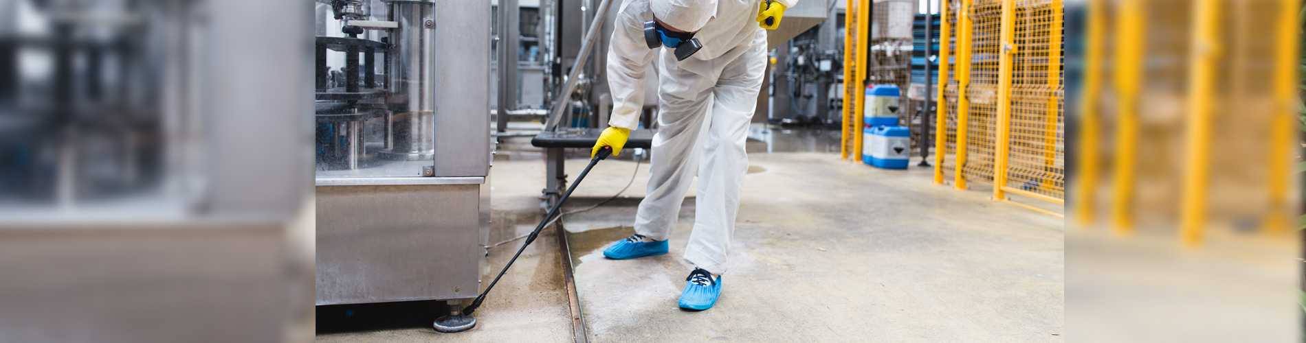 A pest technician conducting pest removal
